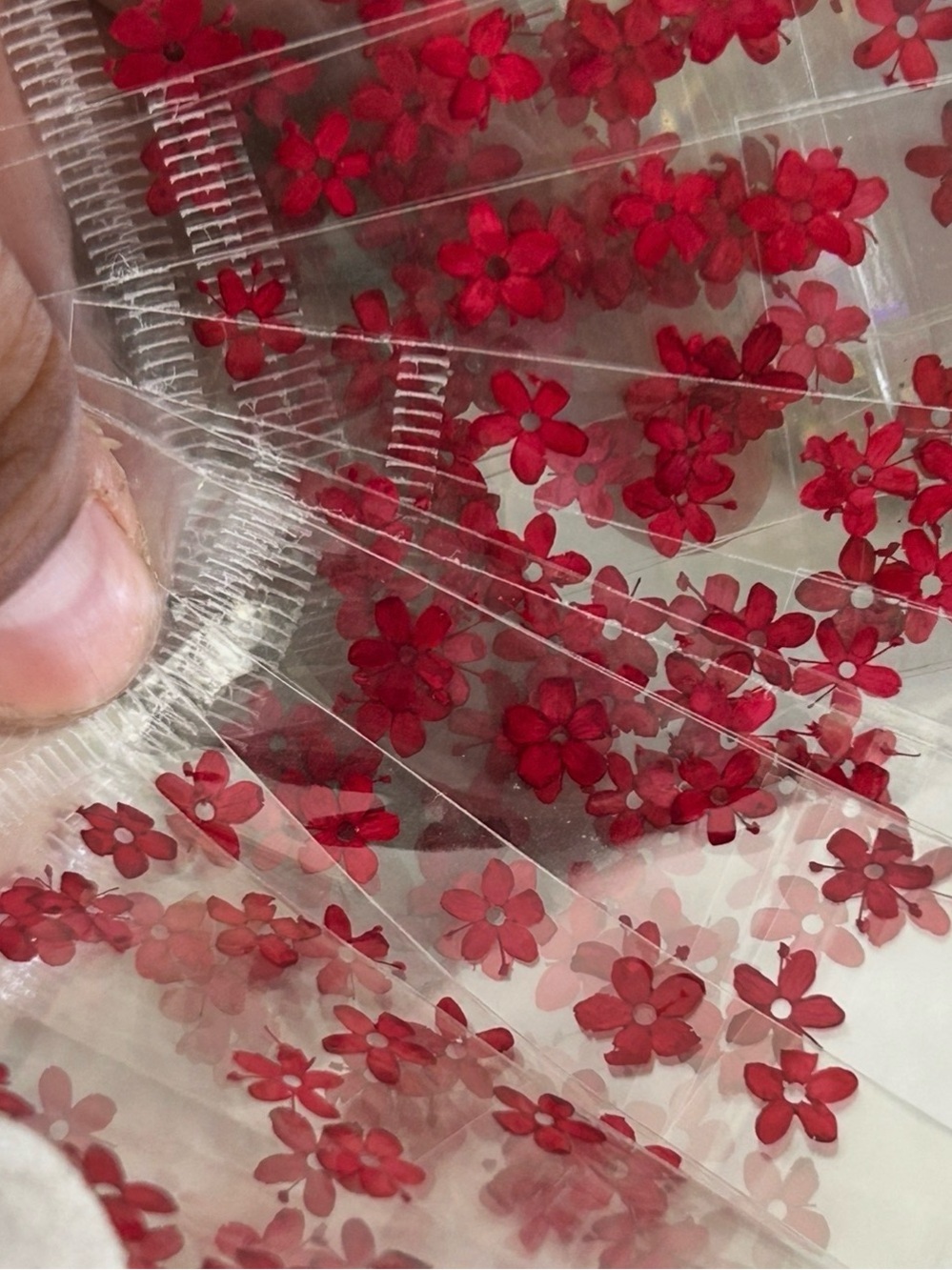 240 dried flowers for nails
